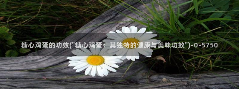 糖心vlog在线观看免费