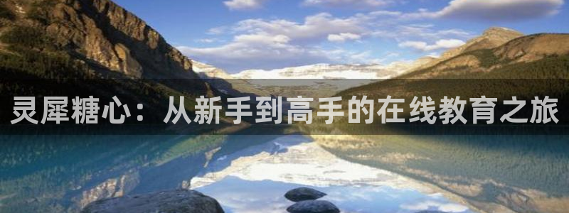 糖心Vlog超清：灵犀糖心：从新手到高手的在线教育之旅