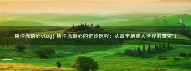 糖心vlog豪：唐伯虎糖心vlog(\