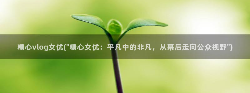 糖心vlog露出：糖心vlog女优(\