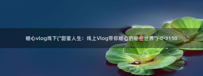 糖心官vlog：糖心vlog线下(\