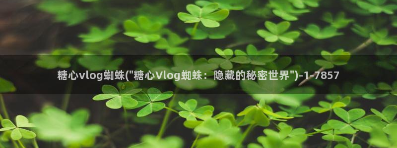 糖心vlog酱视频