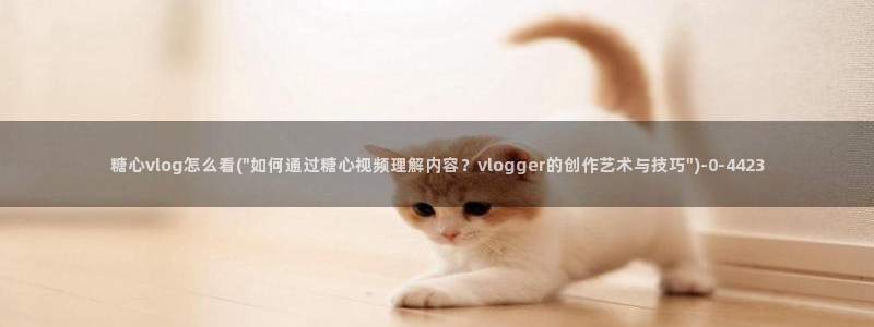 糖心vlog国产传媒入口