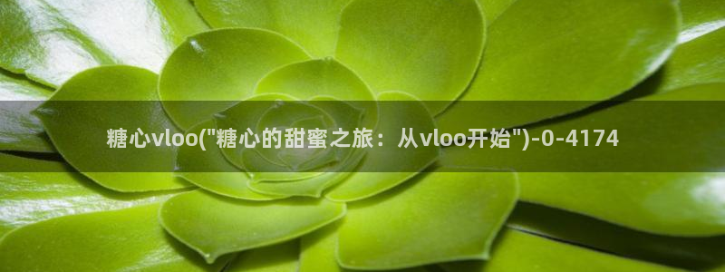 糖心vlog 桥本香菜